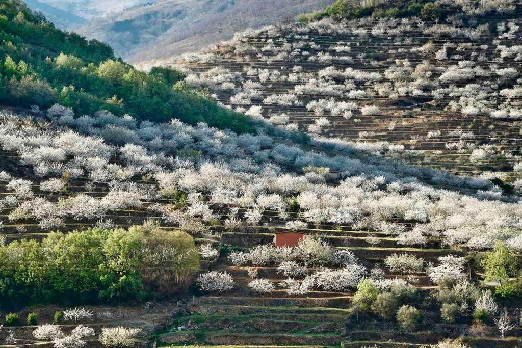 Apartamento Rural Se De Un Lugar El Torno  Εξωτερικό φωτογραφία