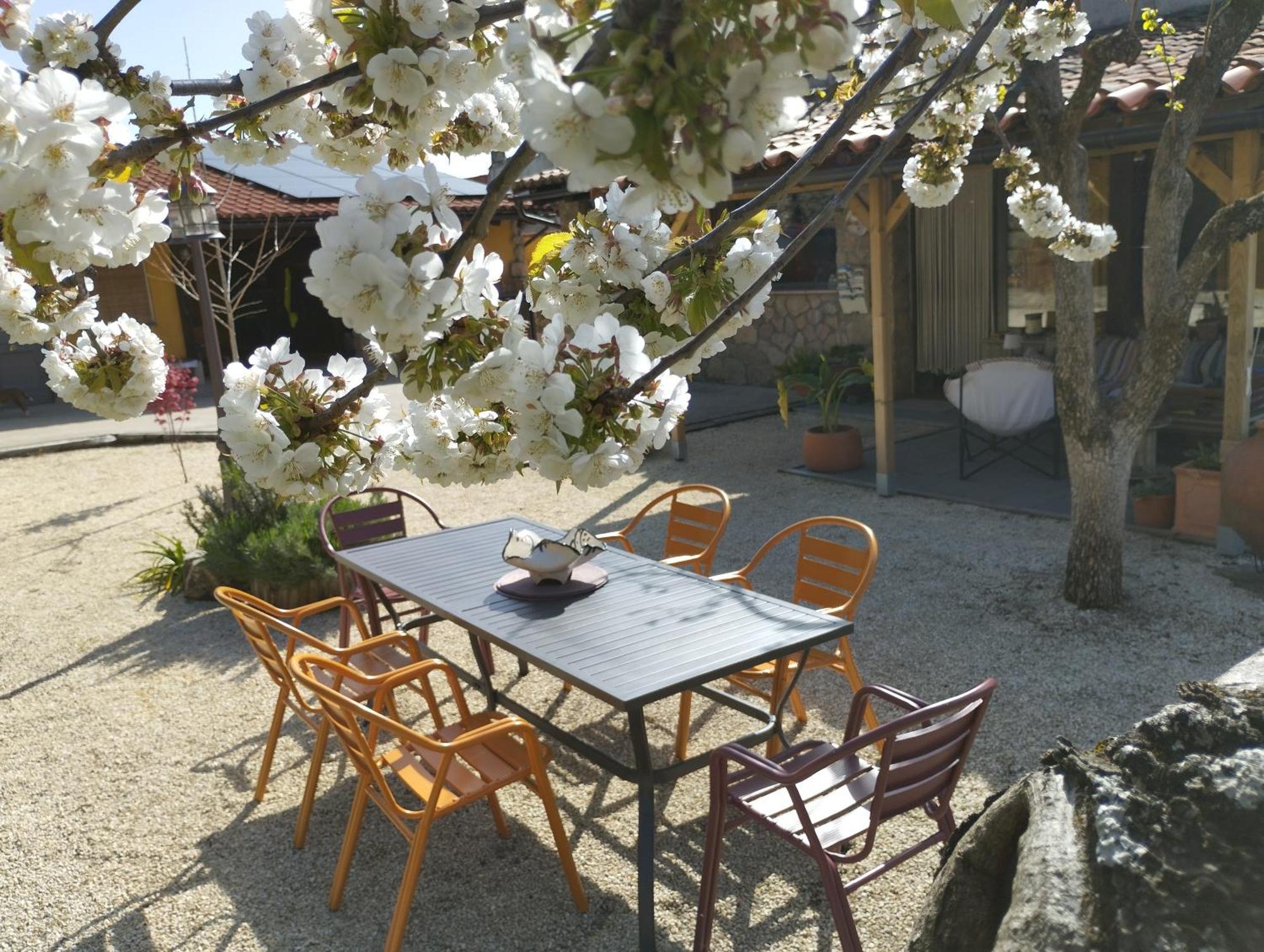 Apartamento Rural Se De Un Lugar El Torno  Εξωτερικό φωτογραφία